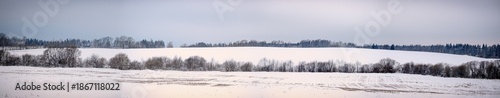panorama landscape in white winter with snow covered fields, long tree lines and hill