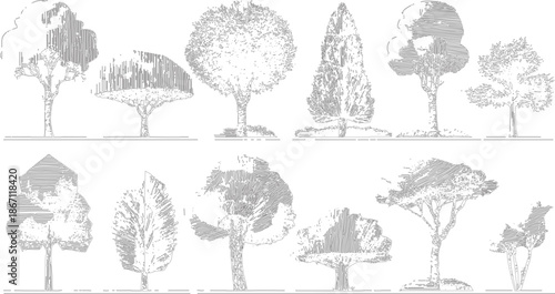 Collection of detailed black and white line of various deciduous and coniferous trees, architectural renderings, landscape blueprints, or botanical