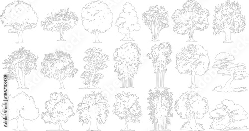 Comprehensive set of black and white line featuring a wide array of tree species and bamboo clusters, landscape plans, architectural visualization, or educational