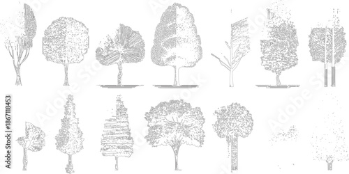 Collection of diverse stylized black and white line tree showcasing various foliage shapes and trunk architectural renderings or projects
