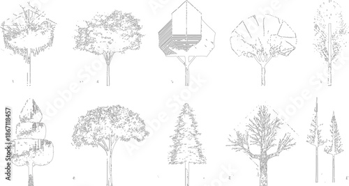 Assortment of stylized black and white line representing various tree forms and silhouettes, architectural plans, or nature-themed