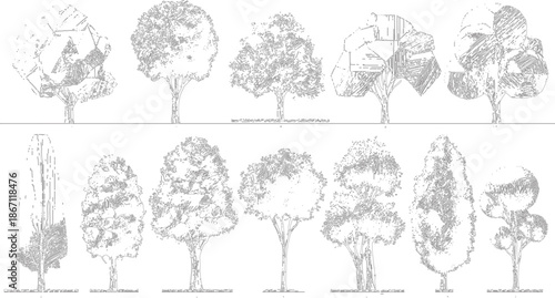 Collection of detailed black and white line showcasing a variety of deciduous and coniferous trees with distinct foliage patterns and trunk structures presented on a white background for