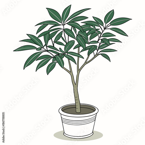 Small Potted Plant Isolated on White - Cute Green Sprout