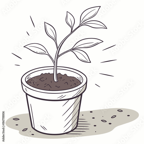Small Plant Pot on White Background - Simple Terracotta Planter