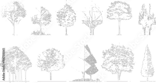 Collection of ten detailed line of various deciduous and coniferous trees showcasing different shapes and foliage densities for architectural or landscape purposes
