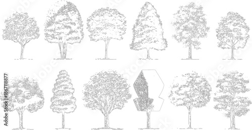 Collection of detailed black and white line showcasing diverse tree species with intricate foliage and distinct trunk structures, architectural renderings or botanical