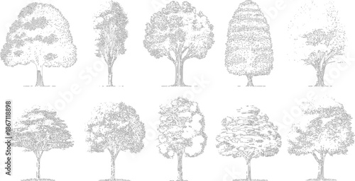 Collection of ten distinct hand-drawn black and white line of various deciduous trees, showcasing different shapes and foliage for nature and