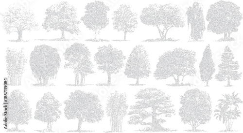 Extensive collection of twenty-four detailed stippled of diverse trees and bamboo clusters showcasing varied textures and forms for artistic or botanical reference