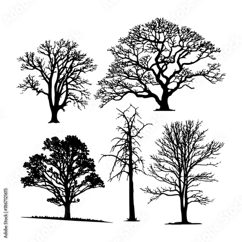 collection of trees