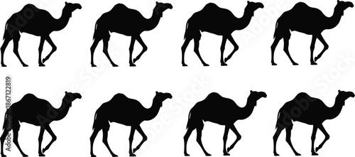 Camel walk cycle animation frames, black silhouette vector illustration set of dromedary animals walking in the desert on a white background
