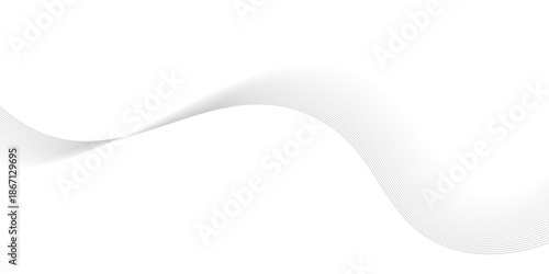 Abstract grey, white smooth element swoosh speed wave, Stylized line art background. Vector illustration. twisted curve lines with blend effect. presentation, banner.
