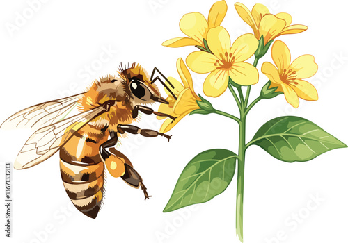 Bee, pollination, yellow flowers, nature, insect, nectar, garden, macro, close-up, wildlife, spring, bloom, flora, honeybee, green leaves, ecology, environment, pollen, botanical, outdoor