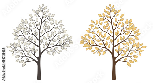 Two illustrated trees, one in muted tones and one in bright autumn orange leaves, representing seasonal changes and nature.