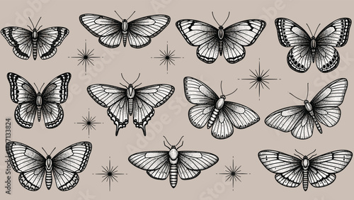 Vintage style collection of hand-drawn butterflies and moths with delicate wings and starry accents on textured beige paper.