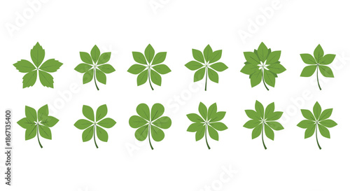 Collection of twelve different green palmately compound leaf icons showing various shapes and number of leaflets on white background.