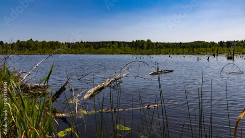 Peace and quiet in the Schwenninger Moos