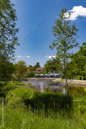Duck pond in Schwenningen near the source of the Neckar