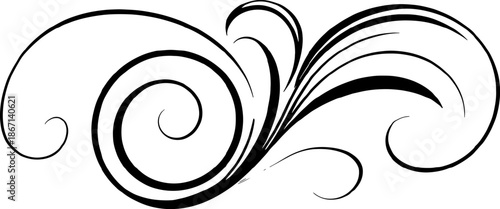 Abstract black decorative swirl design featuring sweeping curves and spirals