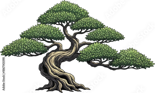 Ancient Bonsai: A gracefully sculpted bonsai tree, showcasing intricate branch work and lush green foliage, evokes a sense of tranquility and the timeless art of cultivation.