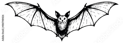 Hand drawn line art illustration of a bat depicting flying with outstretched wings for halloween designs