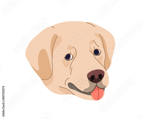 Labrador retriever looking aside. Cute pedigree, canine animal breed, dog face, head avatar. Lab doggy, adorable puppy muzzle with tongue out. Flat vector illustration isolated on white background.