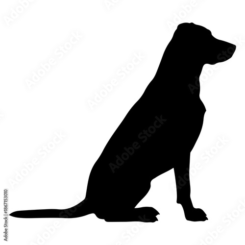 Silhouette of a dog sitting attentively on a white background Vector