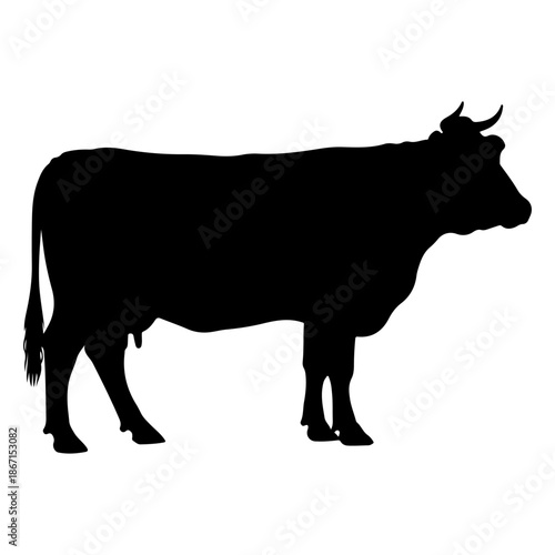 Silhouette of a cow standing on a white background Vector