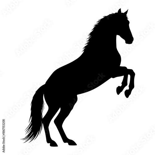 Silhouette of a horse rearing up majestically Vector