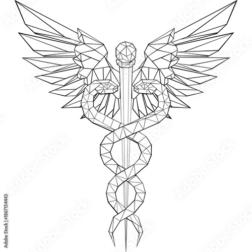 caduceus medical symbol vector