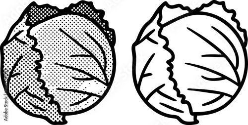 Fresh cabbage heads outlined and dotted isolated illustration set with leaves detail
