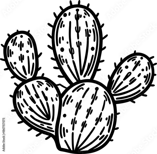 Prickly pear cactus outline drawing with multiple pads and spines detailed sketch