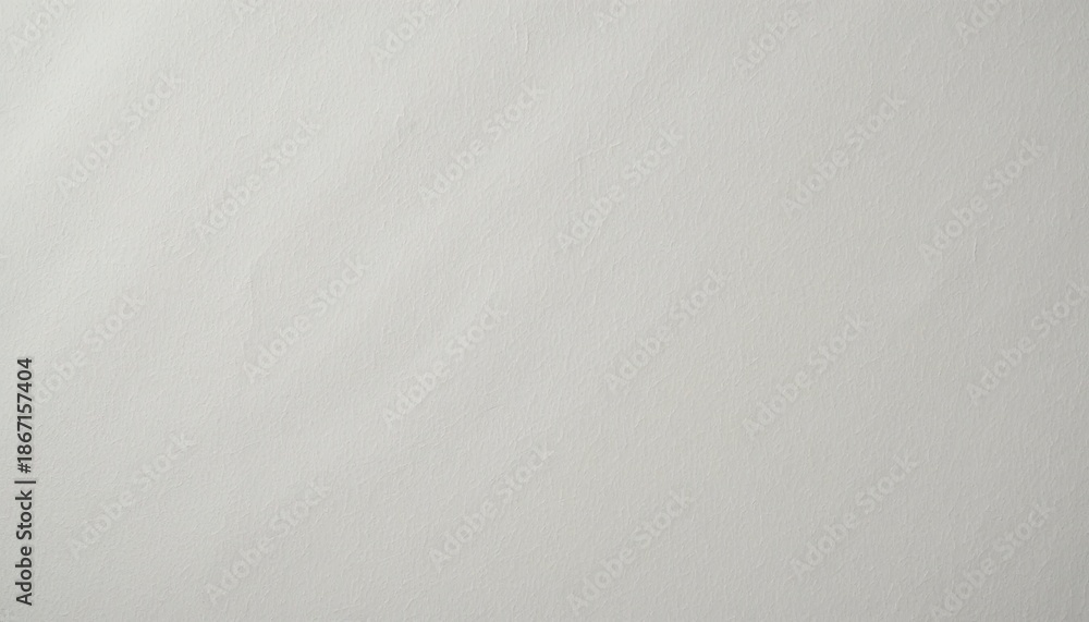 Fototapeta premium Light gray textured background with subtle surface details