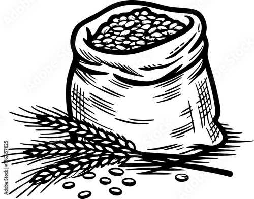 sack filled with grains next to wheat stalks harvest, agriculture and farming concept illustration