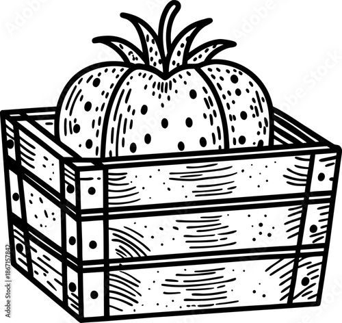 Wooden crate filled with fresh ripe tomatoes hand drawn illustration