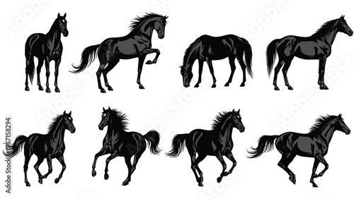 Black horse silhouettes collection, running standing grazing poses, elegant equine animals isolated on white background for design illustration use