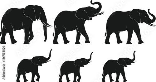 Elephant silhouettes collection, walking trumpeting poses, majestic African wildlife mammals isolated on white background illustration vector design set art graphics