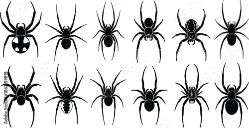 Spider silhouettes collection, various arachnid species shapes, black insect icons isolated on white background for halloween design use illustration vector