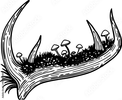 Deer antler with moss and mushrooms growing, nature wildlife forest element illustration