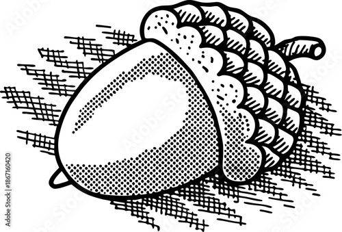 Detailed black and white ink drawing of an acorn with textured shading and crosshatch background