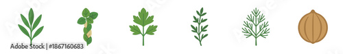 Collection of fresh culinary herbs and spices including rosemary, oregano, parsley, thyme, dill, and coriander seed in a flat vector illustration style for cooking concepts