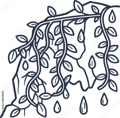 Vines hanging from a cliff with water drops, nature illustration, organic growth and freshness