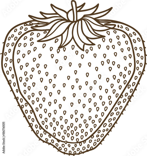 outline illustration of a strawberry with seeds and leafy stem detail