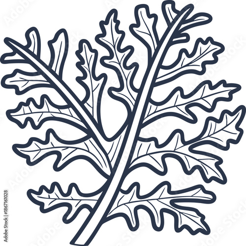 Kale leaf illustration, fresh vegetable outline, healthy green food drawing