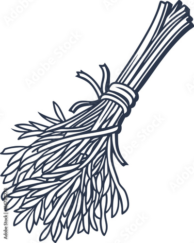 bunch of fresh herbs tied together with string culinary seasoning greenery illustration