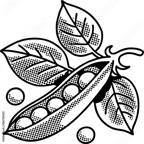 Pea pod with peas and leaves illustration in vintage dotted style, botanical legume plant drawing