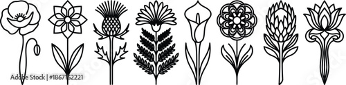 Black and white line drawings of various flowers and plants in different styles and shapes on transparent background