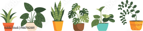 Cartoon potted plant illustration set with diverse leaf shapes and colorful pots for interior decor, gardening, and botanical themes.