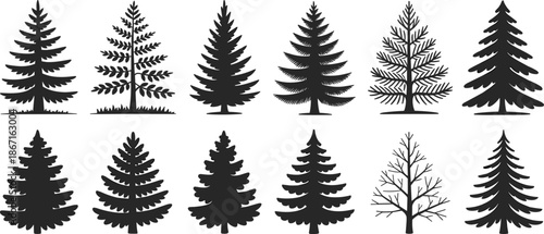 Cartoon tree silhouette icon set with diverse coniferous and deciduous shapes for nature, forest, and landscape design themes.