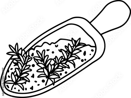 Herbs and coarse salt in wooden scoop natural seasoning ingredient with fresh sprigs