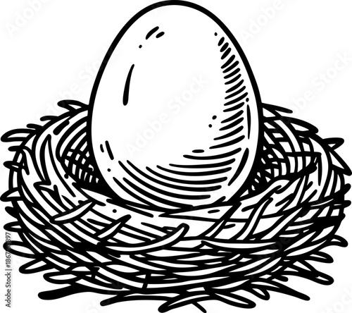 Egg resting in a bird's nest hand drawn sketch of natural wildlife concept